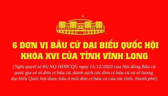 [Infographic] 6 đơn vị bầu cử Đại biểu Quốc hội Quốc hội khóa XVI của tỉnh Vĩnh Long