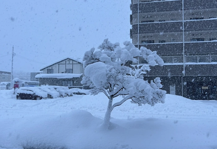 18 người thiệt mạng, 249 người bị thương liên quan các sự cố do tuyết tại Nhật Bản