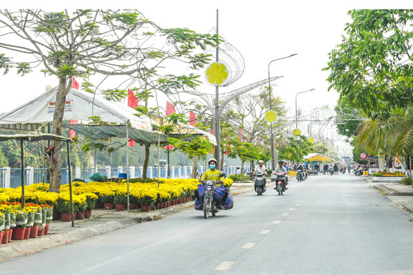 Không khí Tết rực rỡ sắc màu đã về tại vùng quê xã Tam Bình.