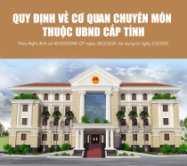 [Infographics] Quy định về cơ quan chuyên môn thuộc Uỷ ban nhân dân cấp tỉnh