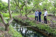 Vĩnh Long chủ động ứng phó để “mặn không còn là nỗi lo”