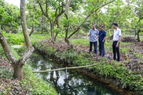 Vĩnh Long chủ động ứng phó để “mặn không còn là nỗi lo”