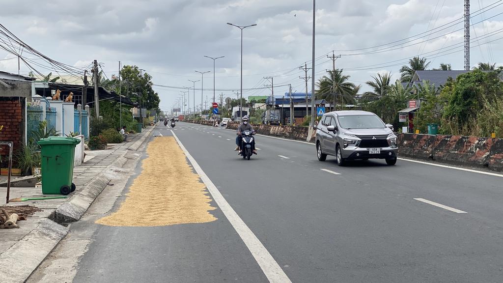 Một phần làn đường bị chiếm dụng để phơi lúa, gây cản trở giao thông và tiềm ẩn nguy cơ tai nạn. 