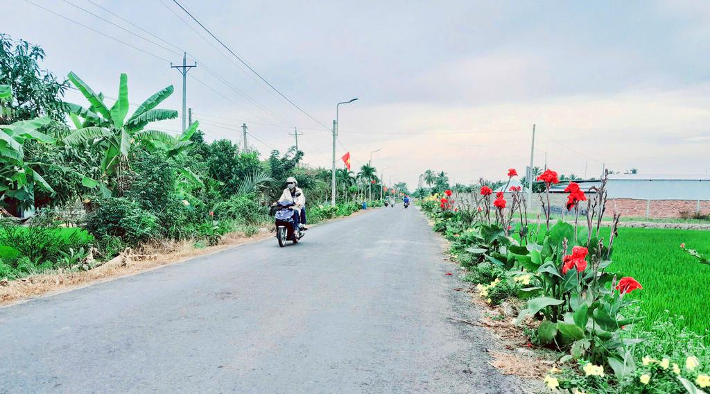 Một góc tuyến đường hoa trên địa bàn huyện Mang Thít (đoạn từ ngã ba Cái Nhum đi TT Cái Nhum).
