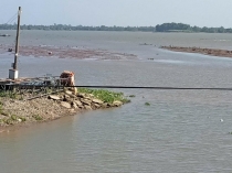 Trân quý những bãi bồi!