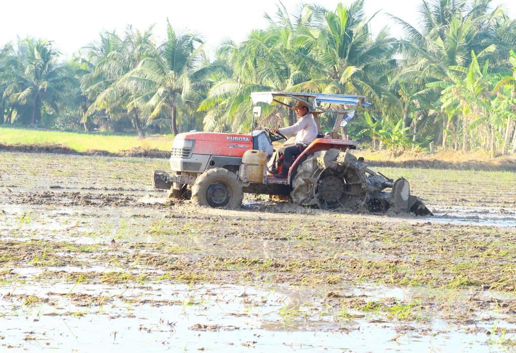 Nông dân chuẩn bị đất để xuống giống vụ lúa Hè Thu.
