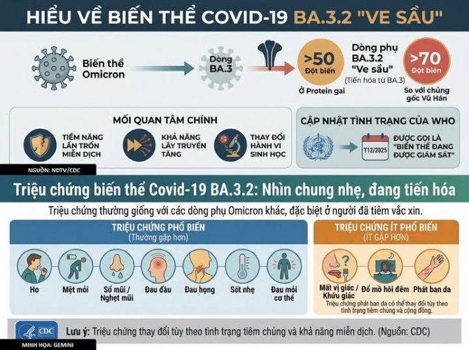 Hiểu về biến thể Covid-19 BA.3.2 ve sầu. (Ảnh CDC)