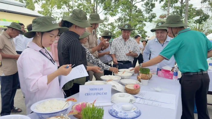 Ngày hội nông dân trồng lúa giới thiệu các giống lúa mới, trình diễn quy trình kỹ thuật canh tác tiên tiến