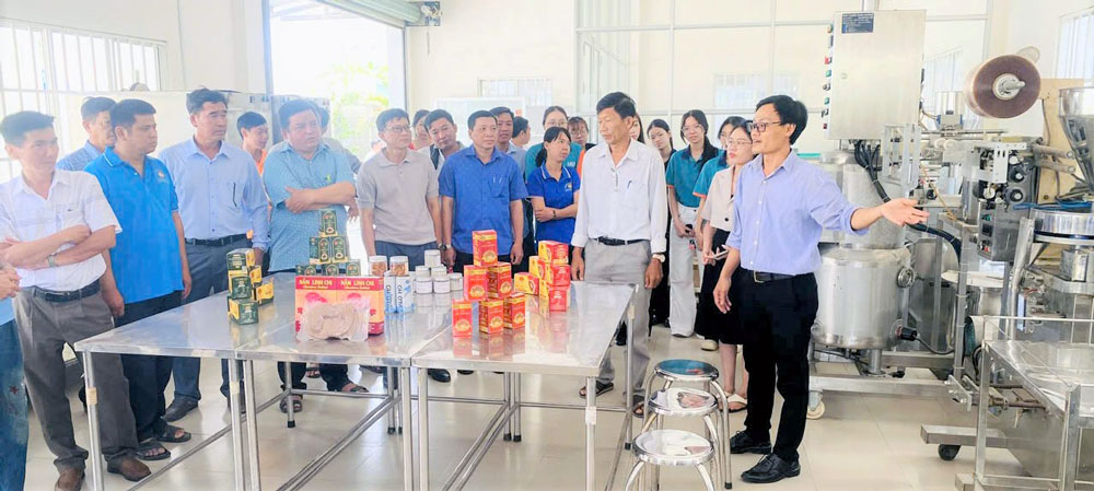 Đại biểu tham quan khu vực chế biến các sản phẩm nông nghiệp.