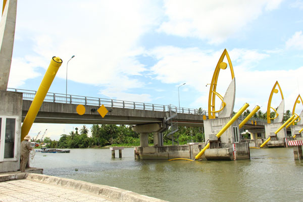 Cống Vũng Liêm (xã Trung Thành) được vận hành đóng- mở linh hoạt để bảo vệ sản xuất nông nghiệp.

