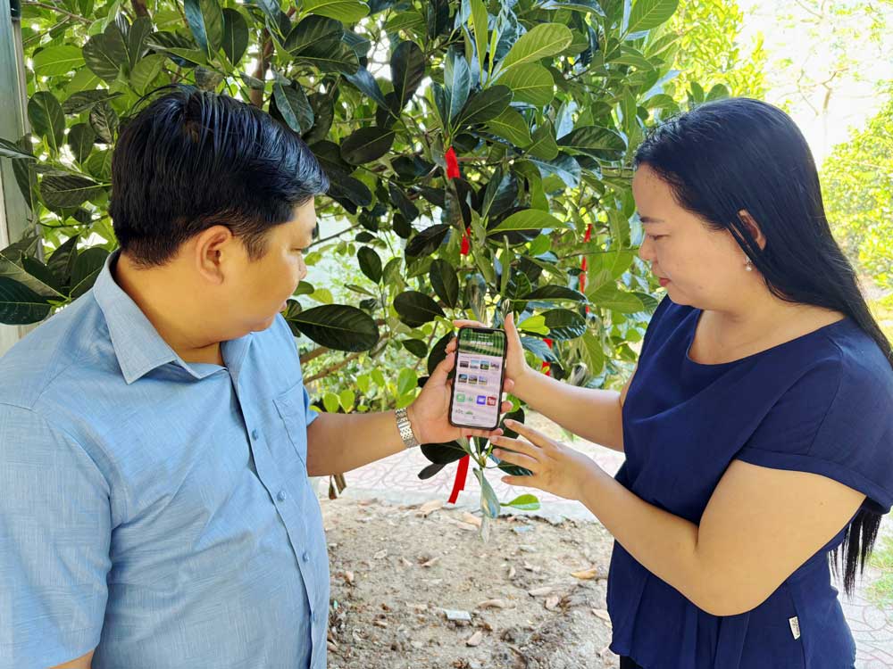 Cùng nông dân chuyển đổi số, Hội Nông dân xã Thuận An (TX Bình Minh) tích cực triển khai hướng dẫn cài đặt và sử dụng app Nông dân Việt Nam.
