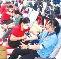 Tiếp bước truyền thống, tuổi trẻ chung sức xây dựng quê hương 