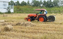 Giải pháp quản lý rơm rạ trên đồng ruộng kết hợp cơ giới hoá và cải thiện sức khoẻ đất