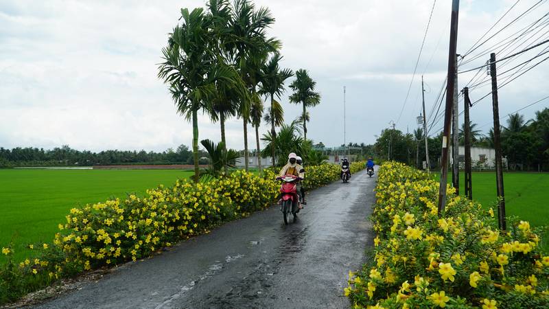 Nông thôn mới tươi đẹp trên vùng đất anh hùng Bưng Sẩm (xã Hòa Bình) hôm nay.
