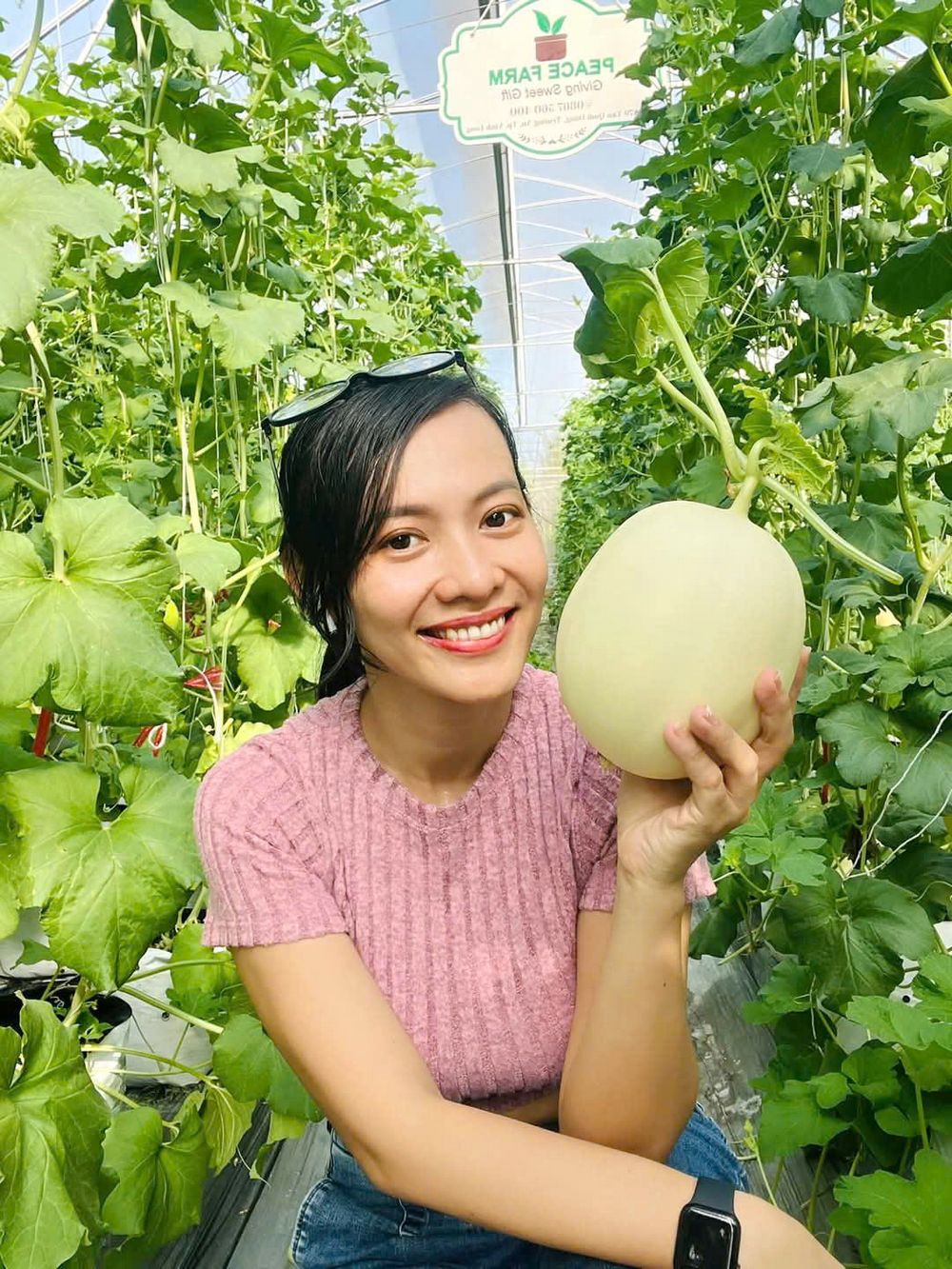 Mô hình trồng dưa lưới của chị Lê Ngọc Hiền (phường Trường An, TP Vĩnh Long) đang áp dụng công nghệ Israel.
