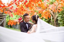 Gặp chồng vũ phu:
cam chịu hay phản kháng? 