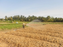 Sử dụng phân hữu cơ giúp cải thiện đất, bảo vệ môi trường