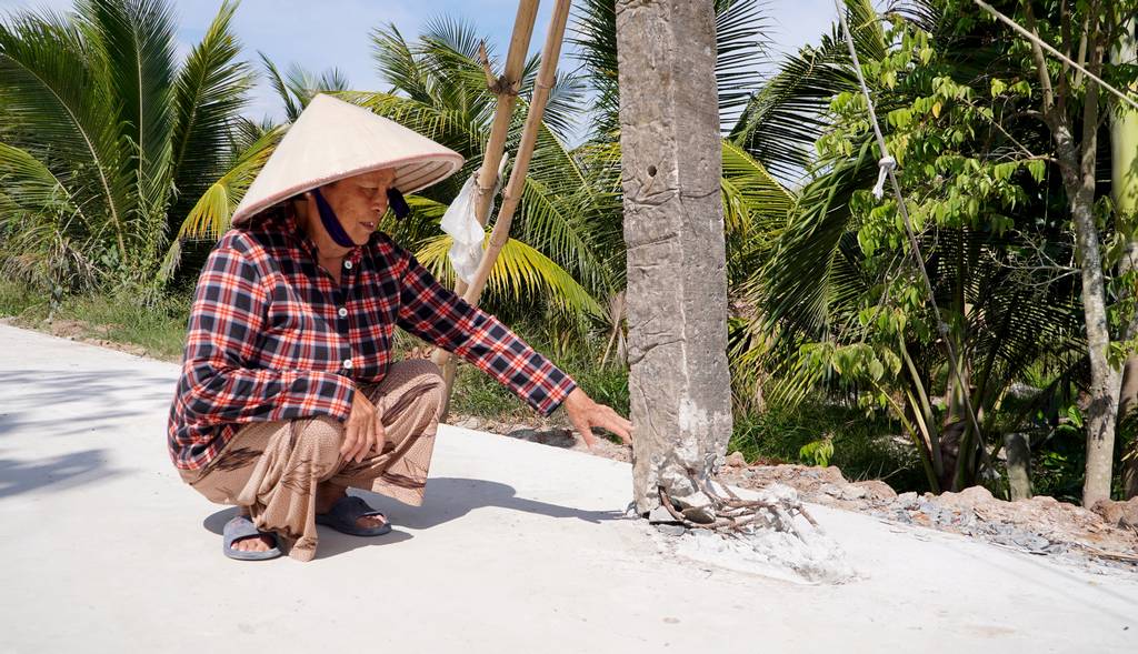 Bà Võ Thị Lệ cho biết, “vừa rồi có chiếc xe chở hàng va phải trụ điện”.