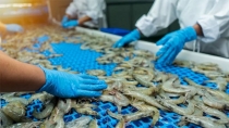 Bản tin thị trường ngày 15/4