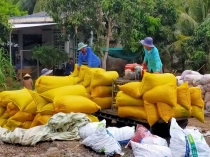 Bản tin thị trường ngày 7/4