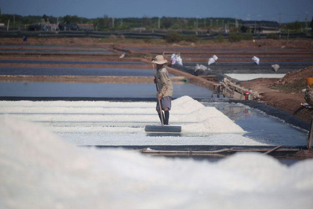 Nguồn nước biển qua nhiều công đoạn lắng lọc, âm thầm kết tinh muối.

