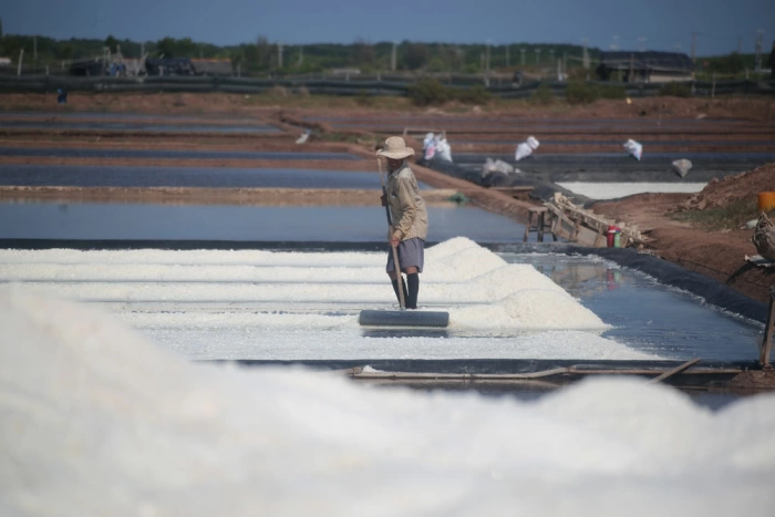 Nắng tháng tư trên đồng muối Bảo Thạnh