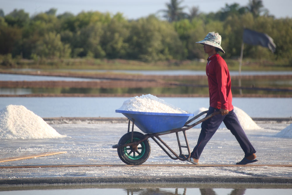 Diêm dân thu hoạch muối.

