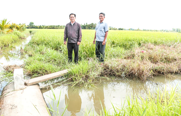 Ông Nguyễn Trung Tuấn- Trưởng Ban Xây dựng Đảng Đảng ủy xã Tập Sơn (bên trái) khảo sát mô hình đê bao khép kín trong sản xuất nông nghiệp ấp Chòm Chuối.

