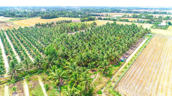 Tỉnh khuyến khích phát triển nông nghiệp hữu cơ, nông nghiệp công nghệ cao.

