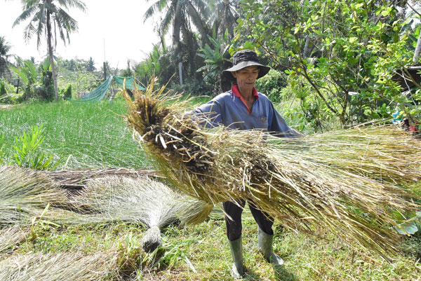 Ông Nguyễn Văn Tâm phơi lác.

