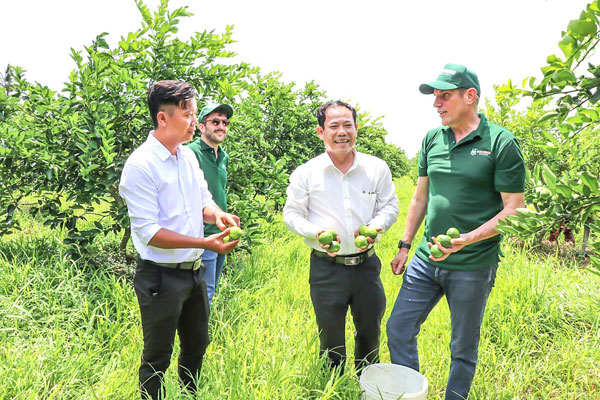 Phó Chủ tịch Hội Nông dân tỉnh- Quảng Thanh Tú (thứ 2 từ phải qua) tìm hiểu mô hình trồng chanh không hạt xuất khẩu của Tổ chi hội nghề nghiệp xã Song Lộc.

