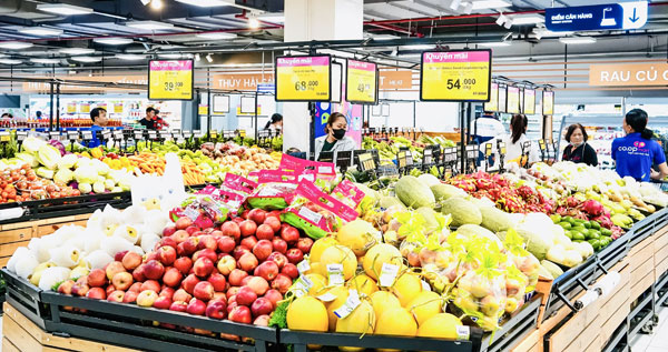 Kết quả tổng điều tra cung cấp bức tranh toàn cảnh về kinh tế của tỉnh. Trong ảnh: Khách tham quan, mua sắm tại Siêu thị Co.opmart Vĩnh Long.