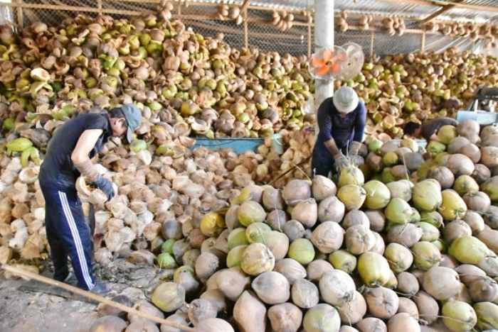 Tân Hòa cụ thể hóa nghị quyết bằng giải pháp sát thực tiễn