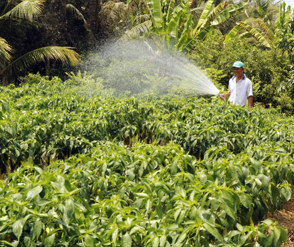 Thực hiện đồng bộ giải pháp để ứng phó với tình trạng hạn mặn, bảo vệ sản xuất.

