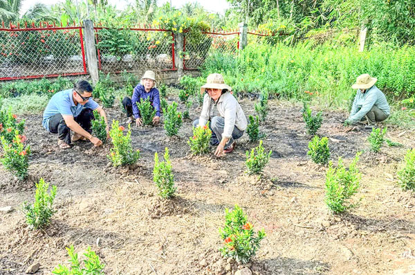 Người dân xã Long Hồ chung tay thực hiện ươm giống, trồng tuyến đường hoa. Ảnh: TUYẾT NGA


