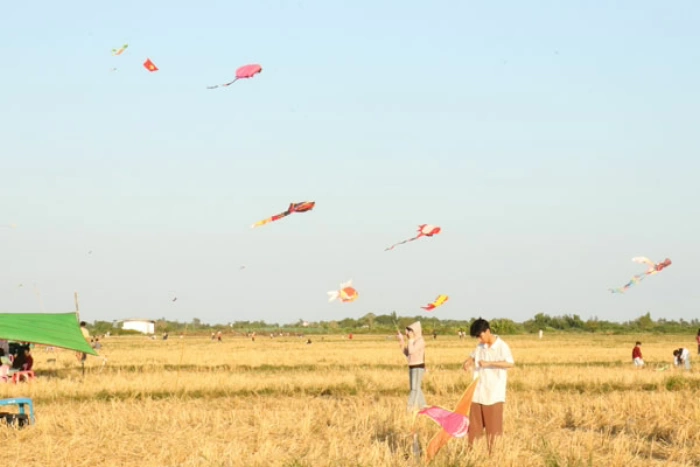 Hè sôi động với cánh đồng diều ở Ba Tri