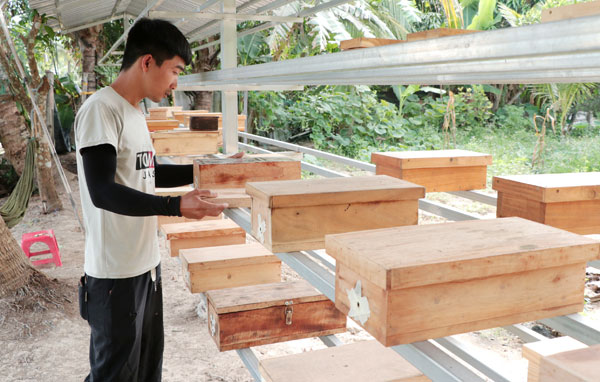 Anh Sơn Cao Thái và các hộp gỗ nuôi ong dú bố trí gọn gàng trên kệ.


