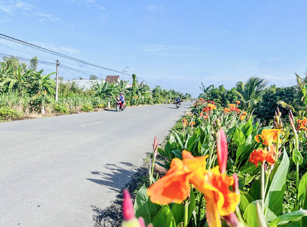 Xây dựng NTM, góp phần nâng cao chất lượng cuộc sống người dân.

