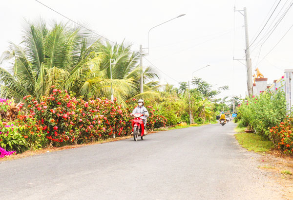 Đường quê An Bình ngày càng khang trang.

