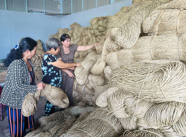 Hỗ trợ HTX phát triển bền vững góp phần giải quyết việc làm, cải thiện cuộc sống lao động nữ nông thôn. Ảnh: HẢI YẾN

