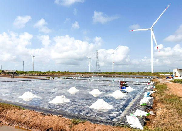 Phát triển điện gió mở ra hướng phát triển năng lượng bền vững cho tỉnh. Ảnh: THẢO TIÊN

