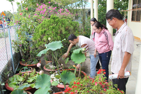 Chiến dịch vệ sinh môi trường, diệt lăng quăng phòng, chống sốt xuất huyết được địa phương triển khai theo hình thức dựa vào cộng đồng.


