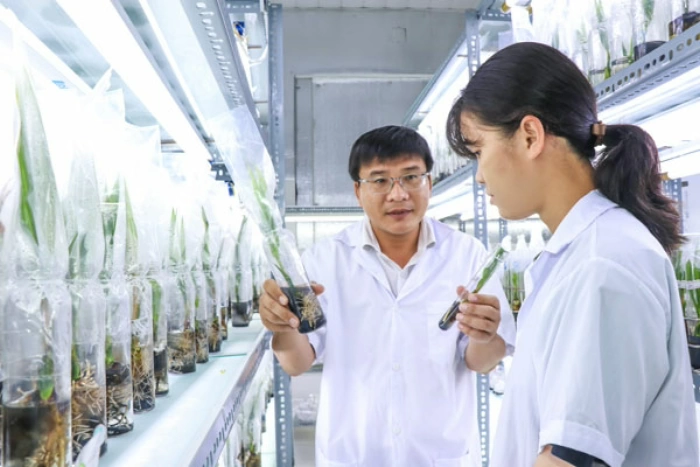 Chuyển đổi xanh từ mô hình vườn dừa phát thải thấp