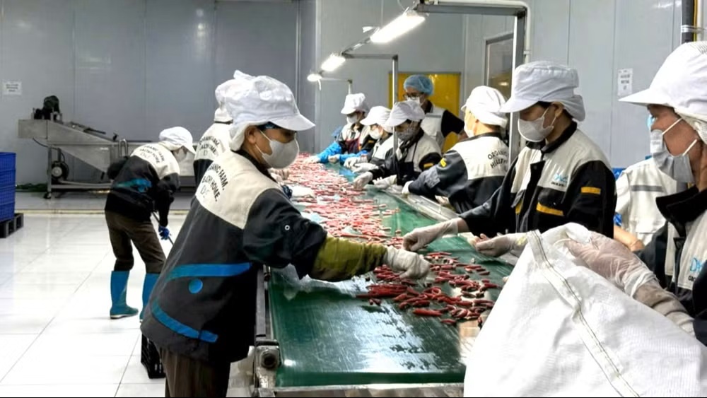 Nông nghiệp vẫn là trụ đỡ của nền kinh tế.