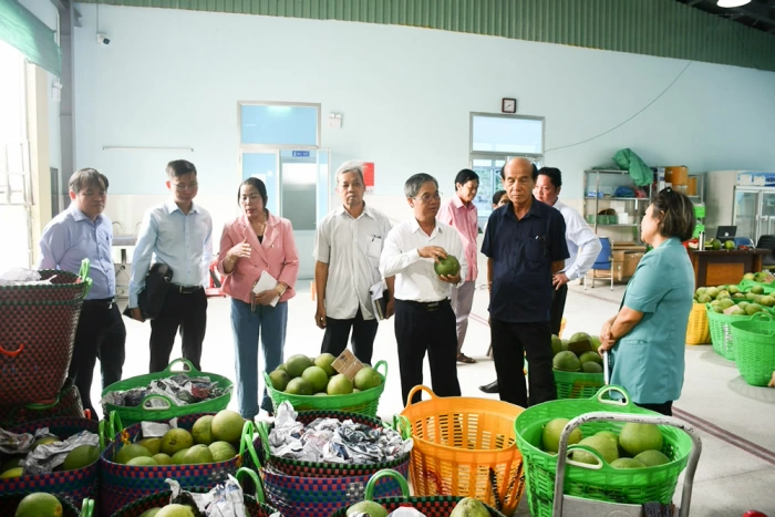 Phó Chủ tịch UBND tỉnh Châu Văn Hòa thăm, làm việc với các hợp tác xã