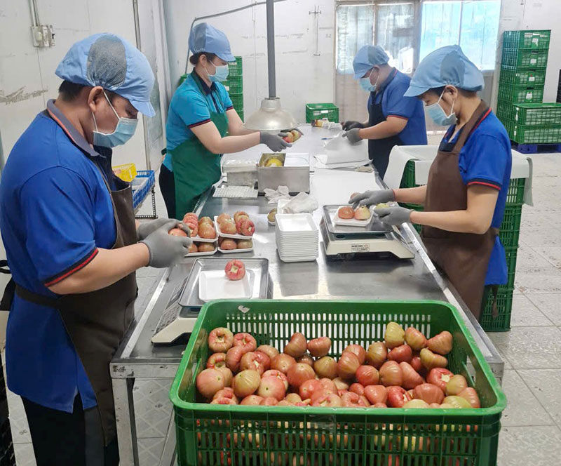 Thời gian qua, các cơ sở sản xuất, kinh doanh luôn quan tâm thực hiện các quy định đảm bảo an toàn từ sản xuất, chế biến đến bảo quản, đóng gói sản phẩm.