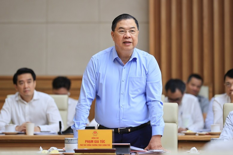 Phó Thủ tướng Thường trực Chính phủ Phạm Gia Túc phát biểu ý kiến tại cuộc làm việc. (Ảnh: VGP/Nhật Bắc)

