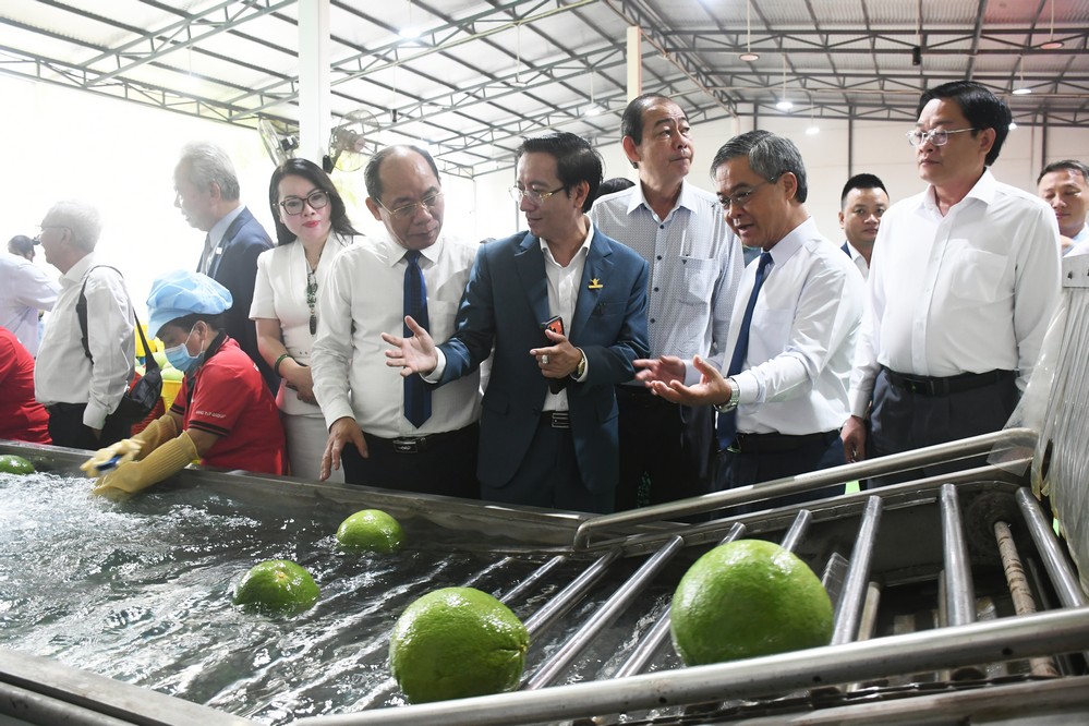 Phó Chủ tịch UBND tỉnh Châu Văn Hòa, cùng đại diện lãnh đạo bộ, ngành, doanh nghiệp và người dân tham quan sản xuất.