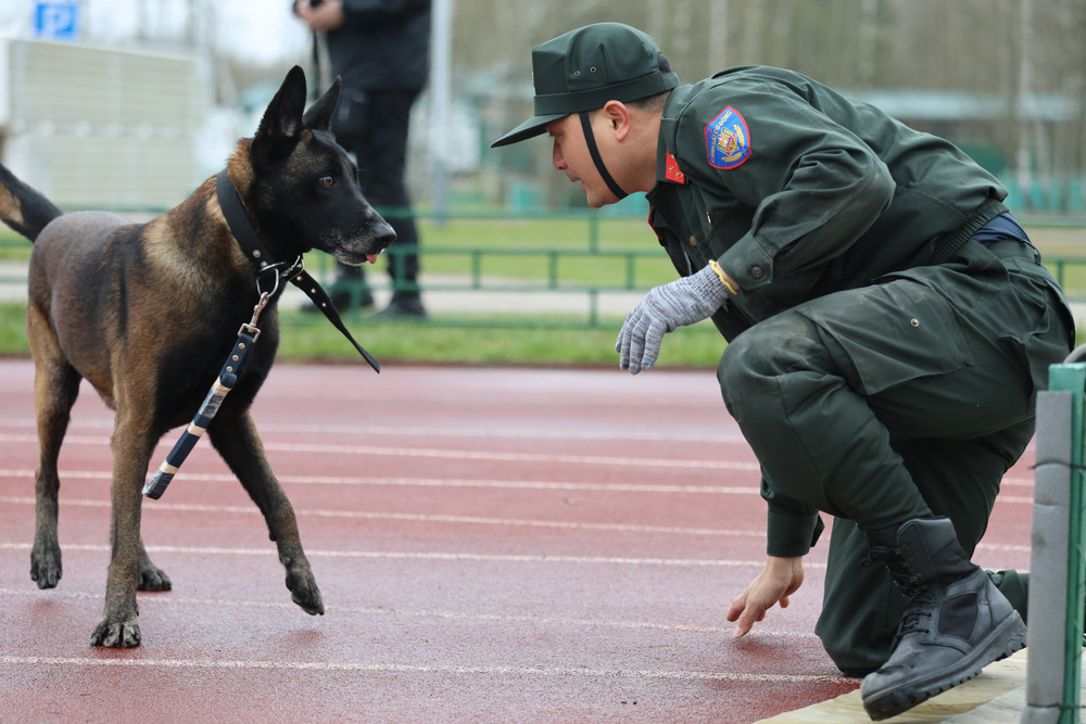 Mỗi bài thi đều đòi hỏi sự chính xác tuyệt đối, khả năng phối hợp nhịp nhàng và sự tin cậy cao giữa người huấn luyện với chó nghiệp vụ.
