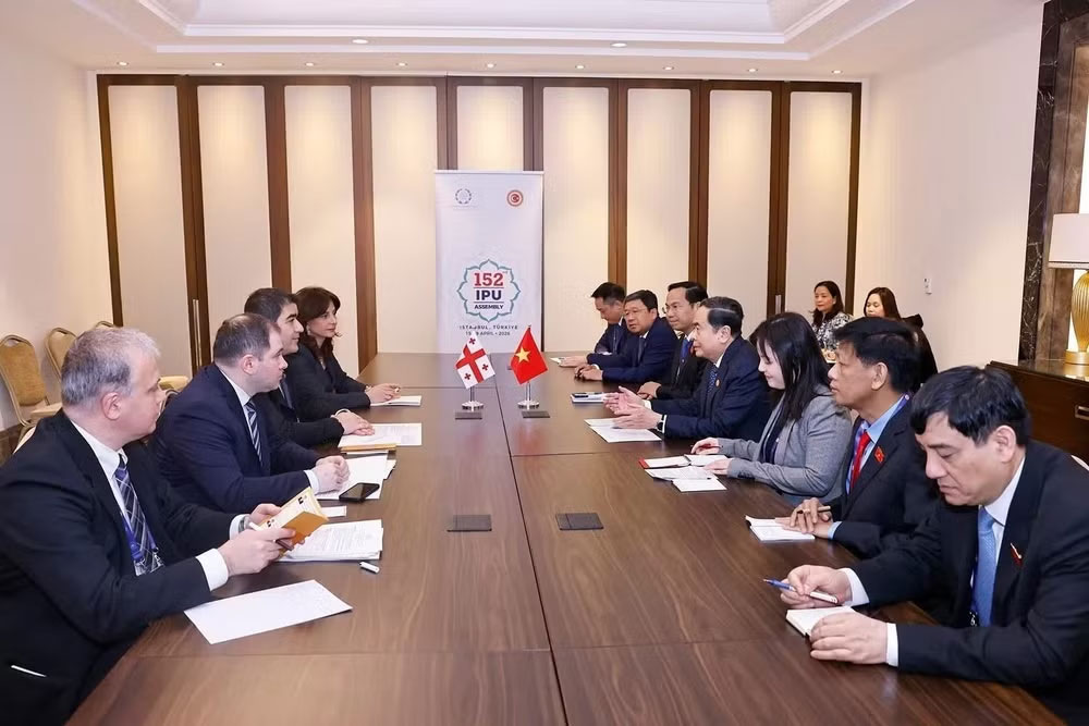 Chủ tịch Quốc hội Trần Thanh Mẫn gặp Chủ tịch Quốc hội Gruzia Shalva Papuashvili. (Ảnh: Doãn Tấn/TTXVN)